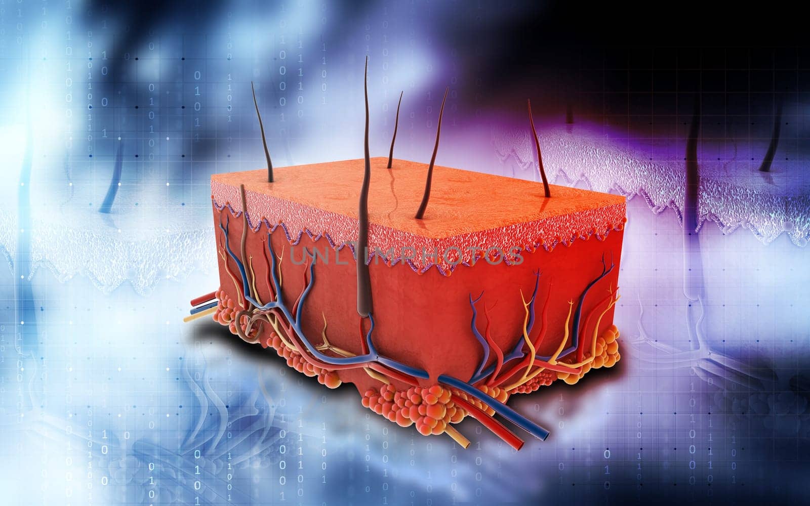 Digital illustration of Skin in colour background