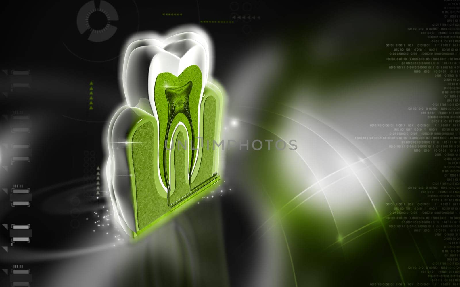 Digital illustration of teeth cross section in colour background