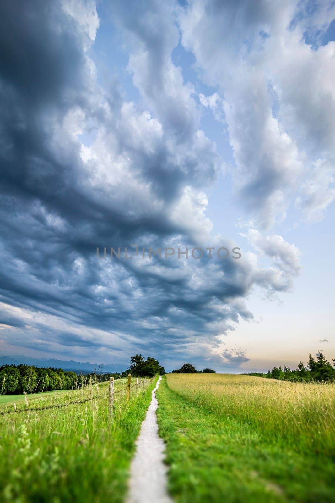 An Image of a beautiful landscape