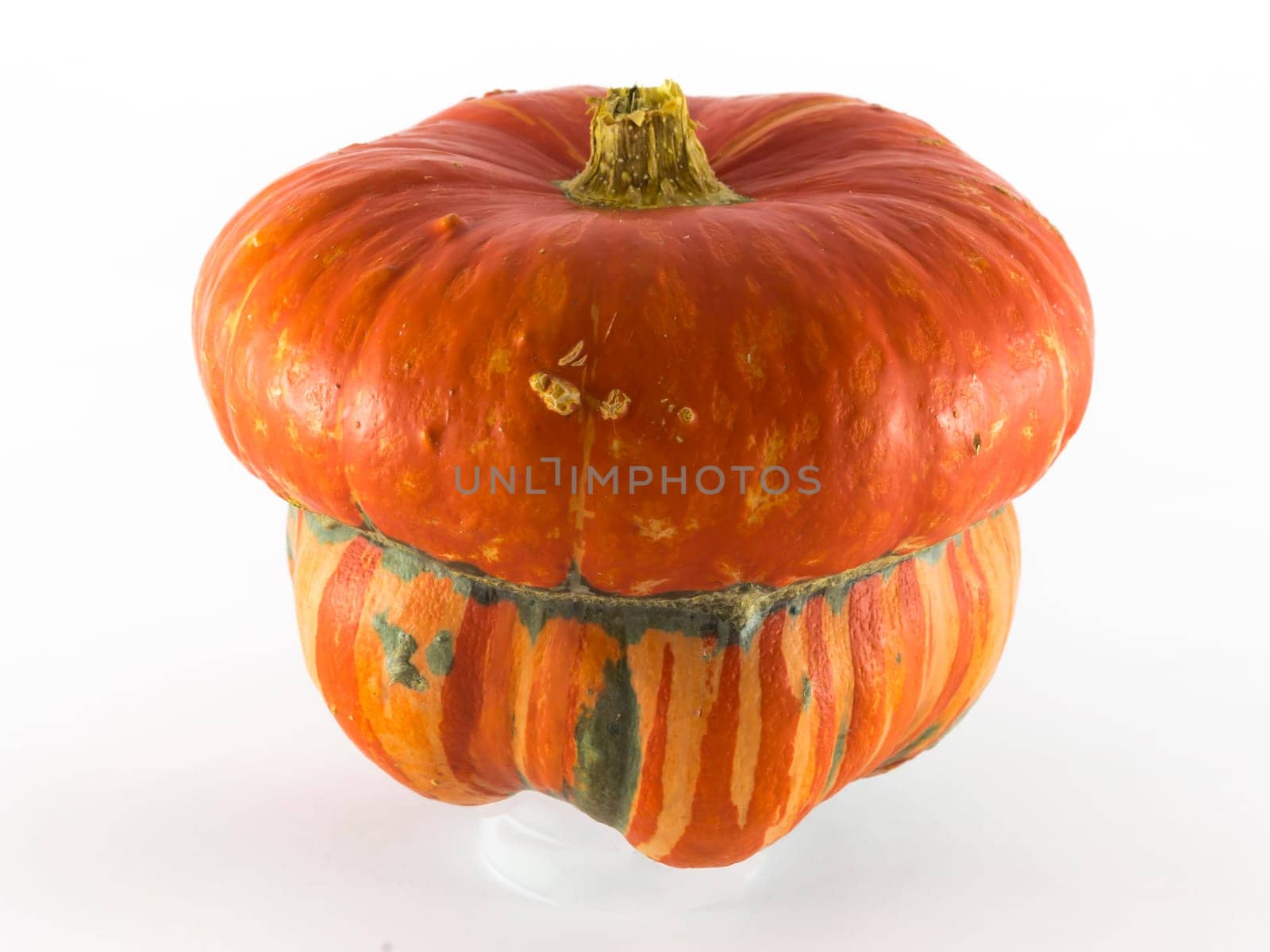 Single pumpkin on white background, symbol of autumn