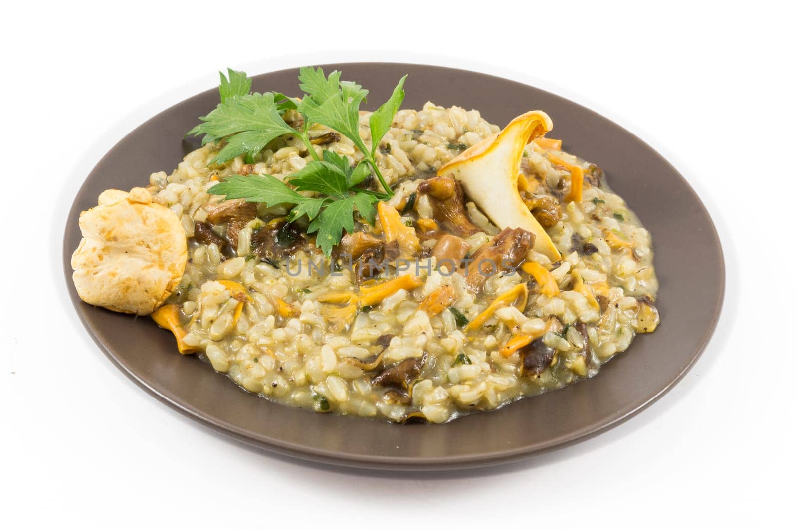 A plate of "risotto"" with mushrooms on white background"