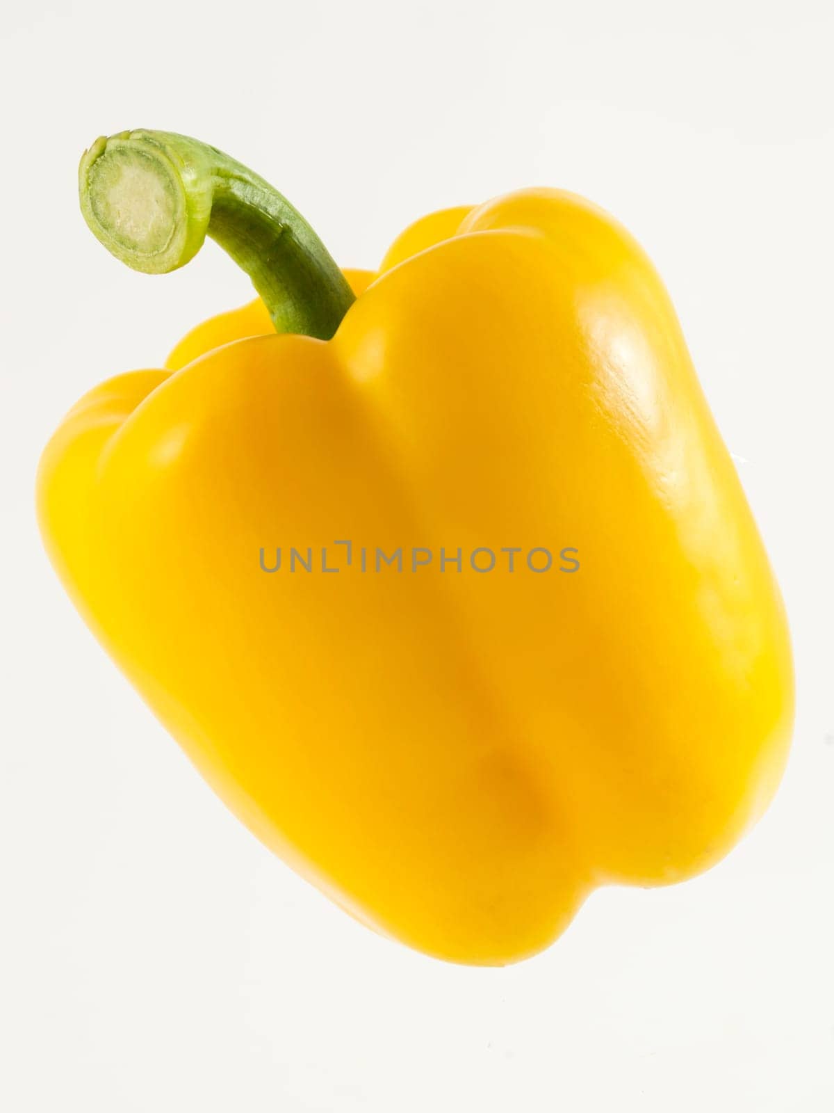 One pepper yellow on white background