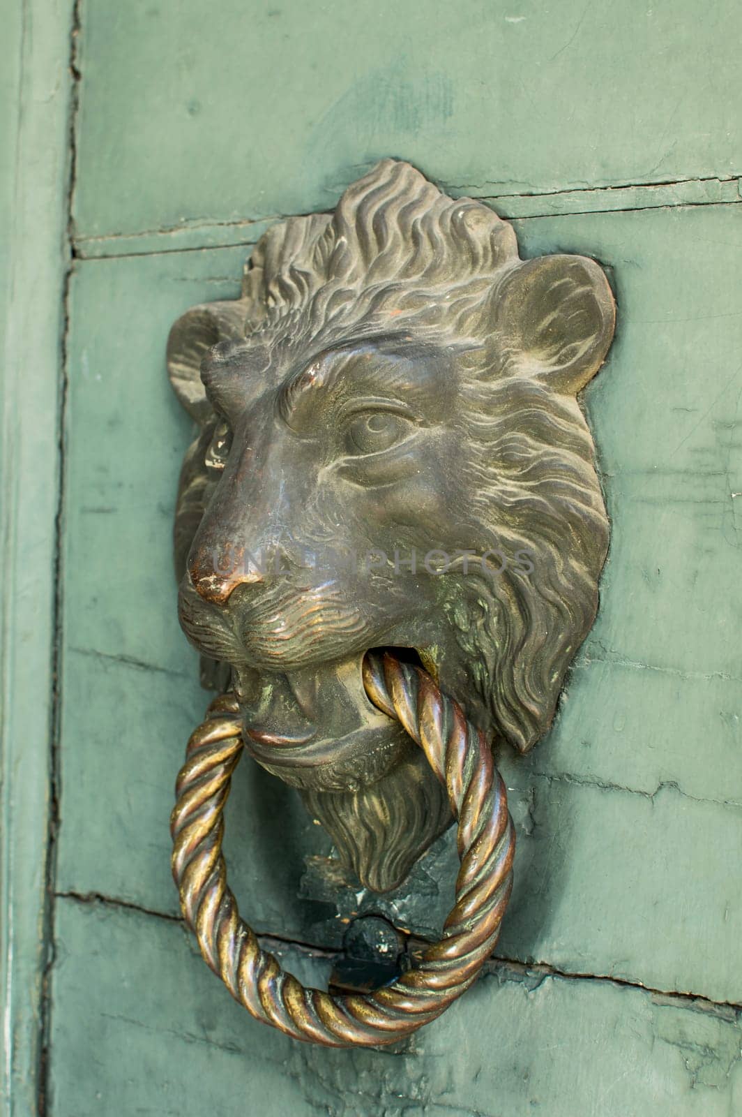 Doors with door knocker in the shape of lion head