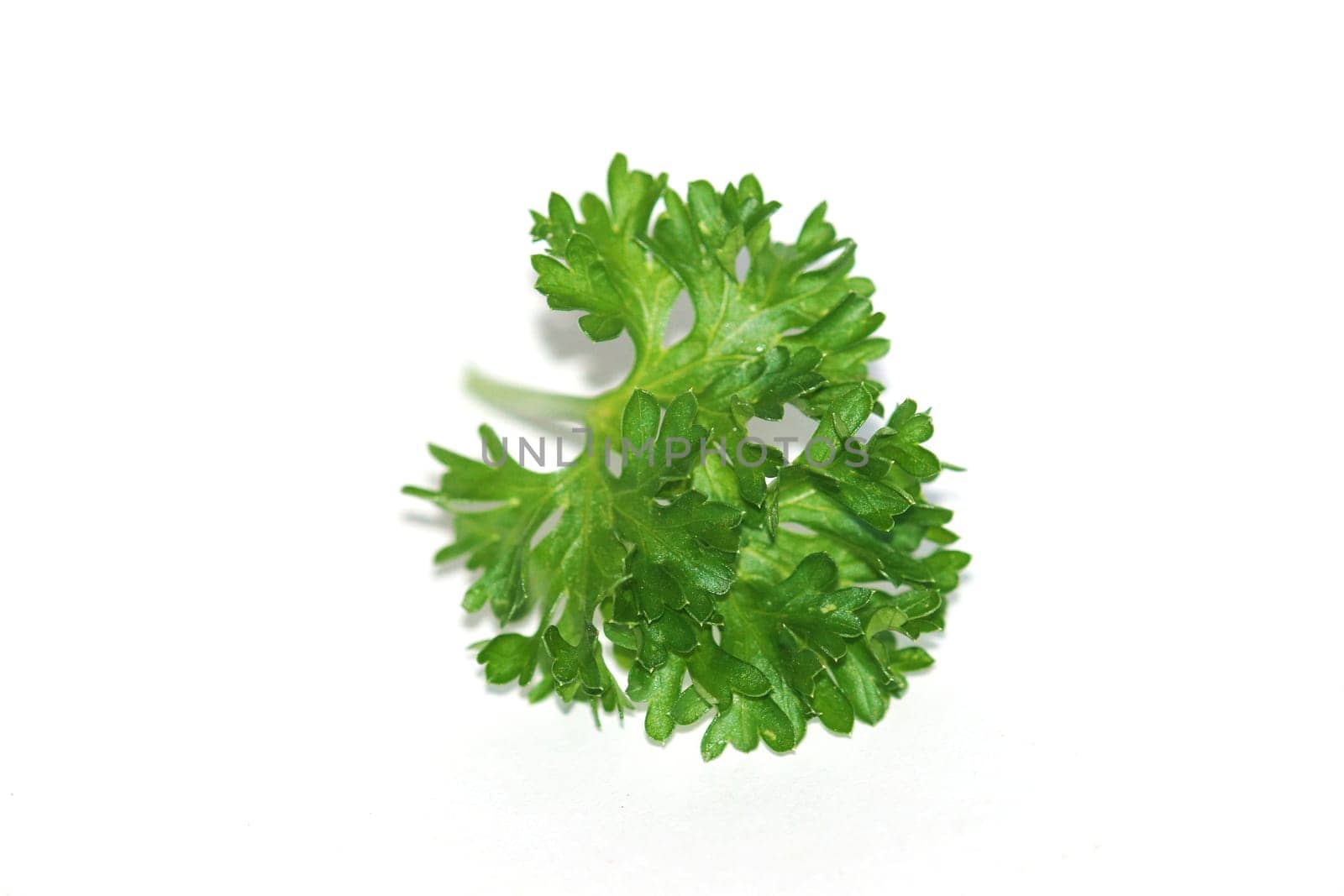 Parsley