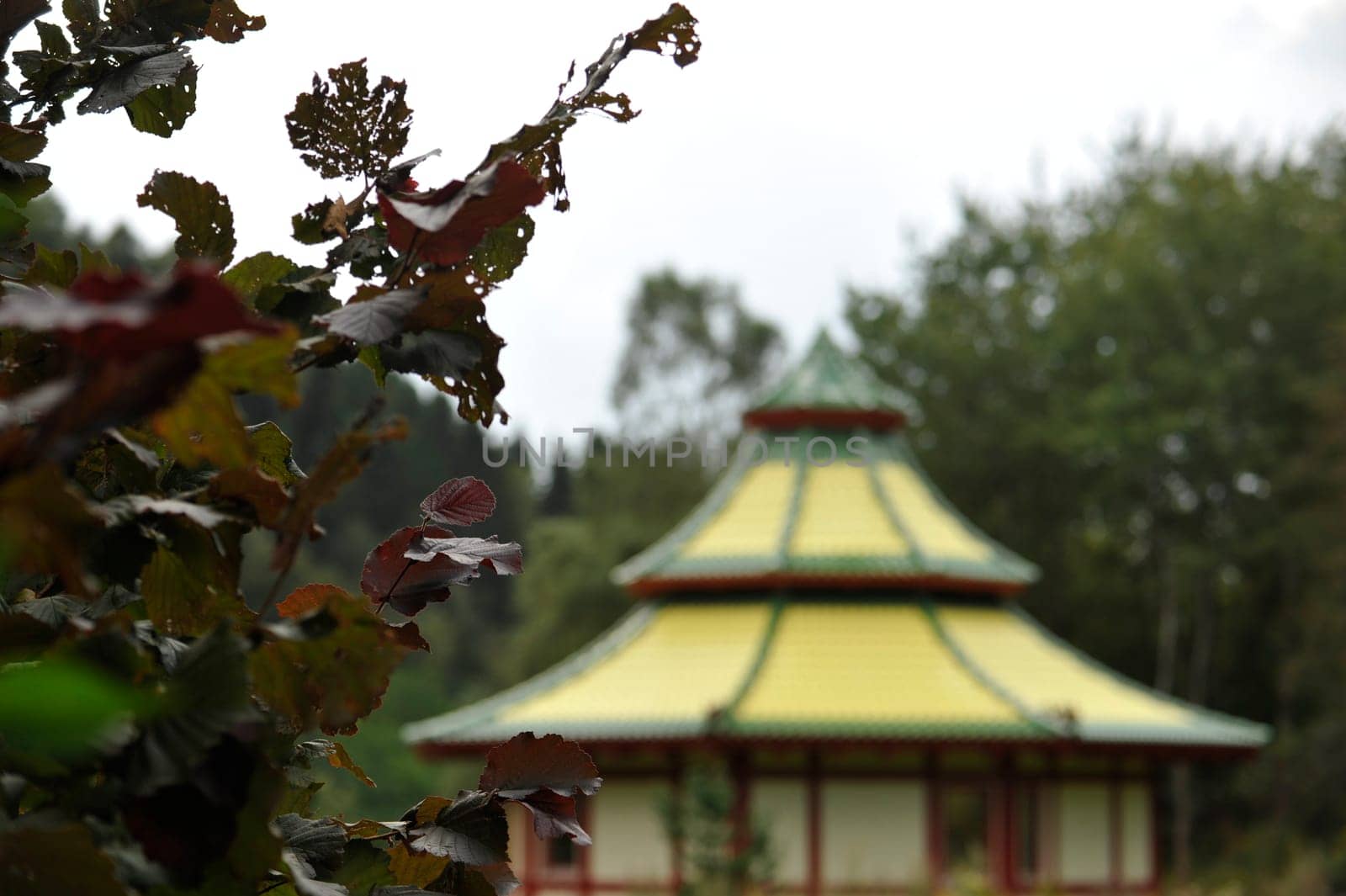 Herbal Park blooms and smells