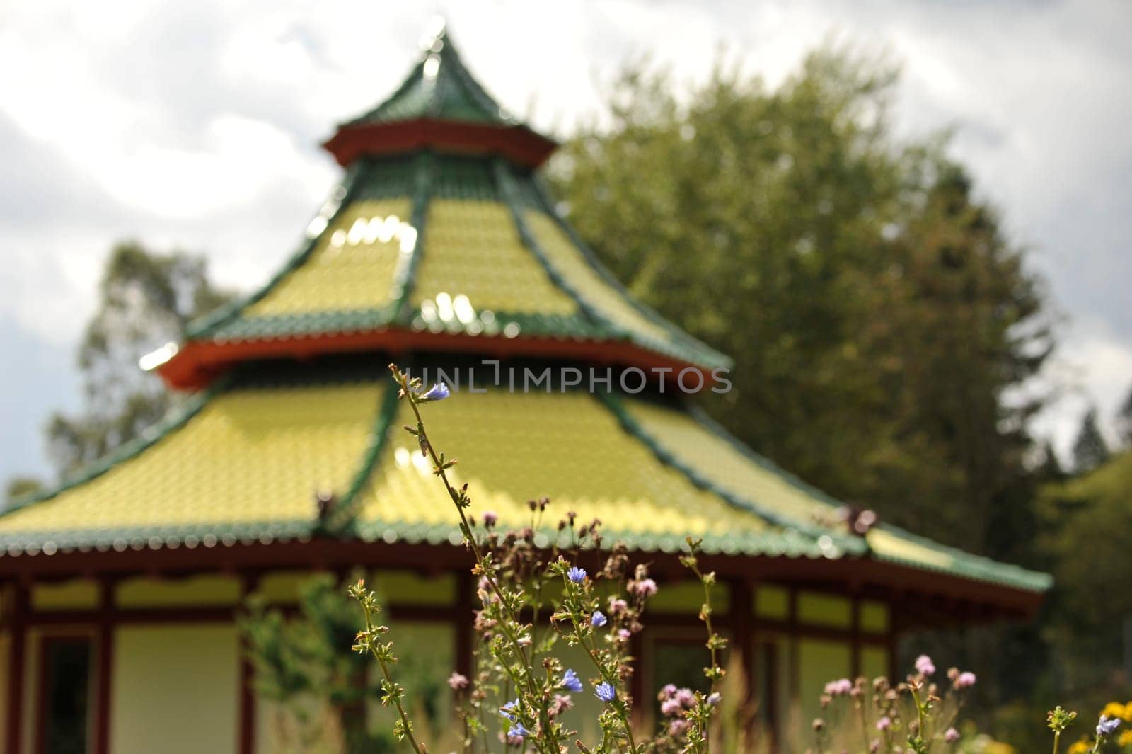 Herbal Park blooms and smells