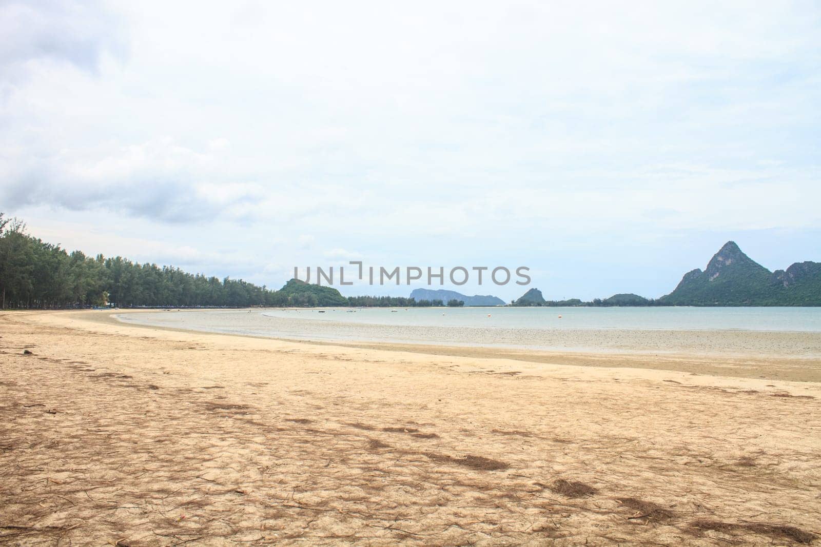 beautiful beach and tropical sea in summer