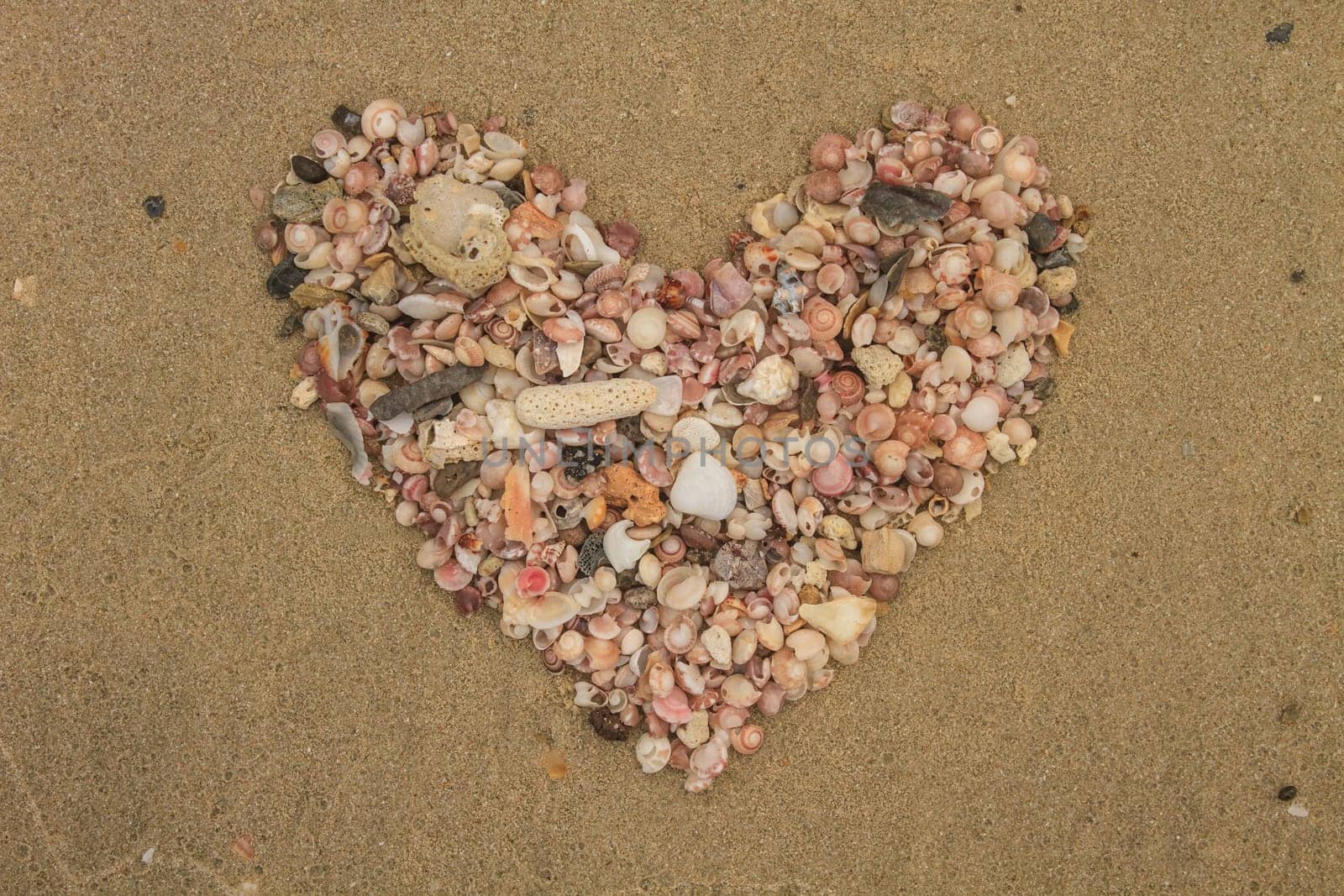 Heart made of sea shells lying on a beach sand in summer