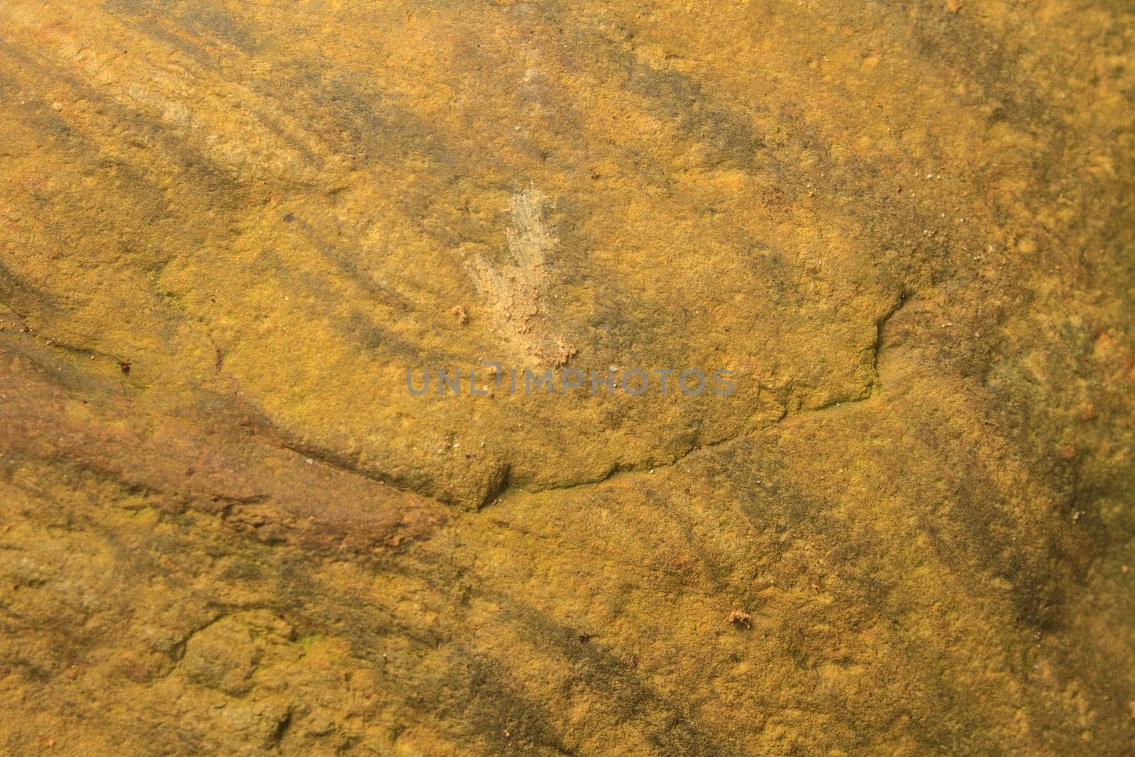surface of the stone, background and texture from nature