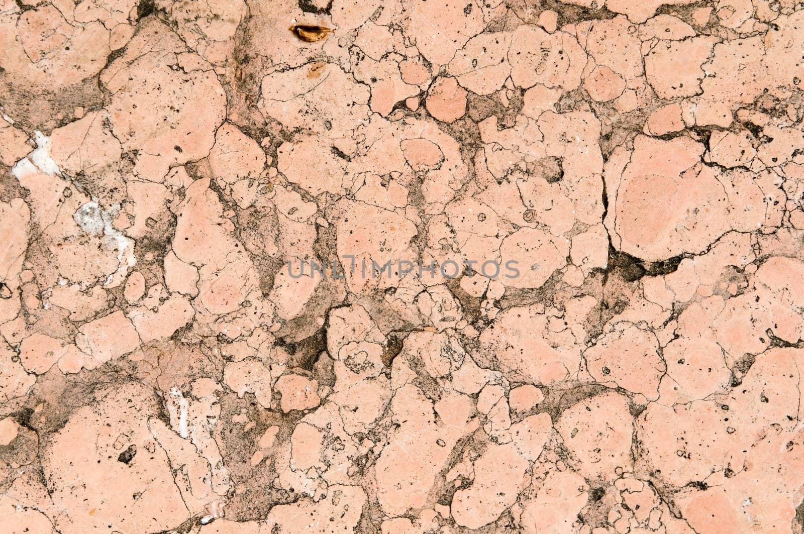 format-filling view pink marble tile