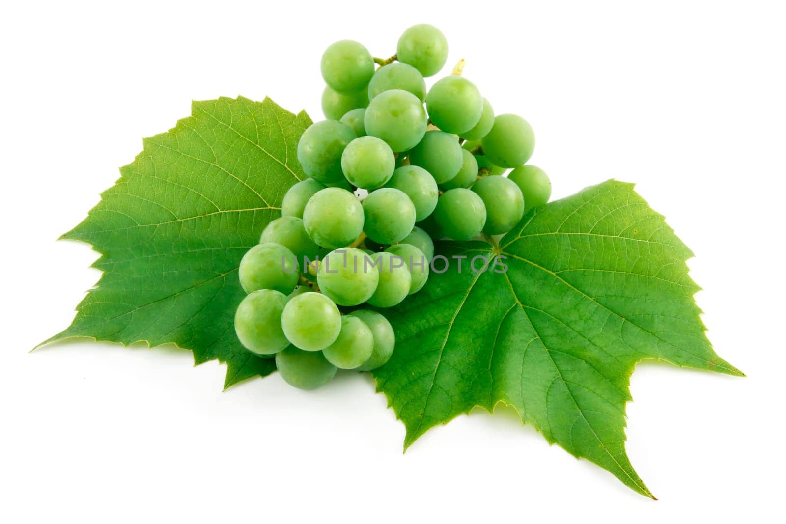 Bunch of Ripe Green Grapes with Leaf Isolated on White Background