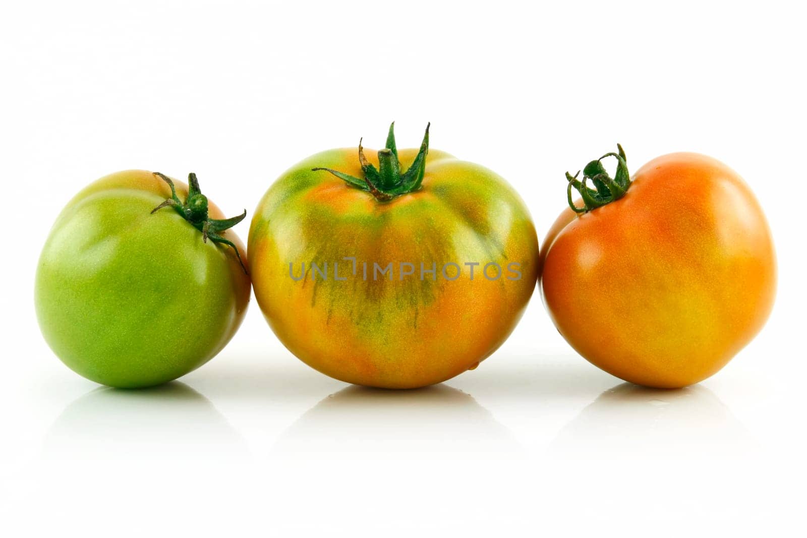Ripe Wet Yellow Tomatoes in Raw Isolated on White Background