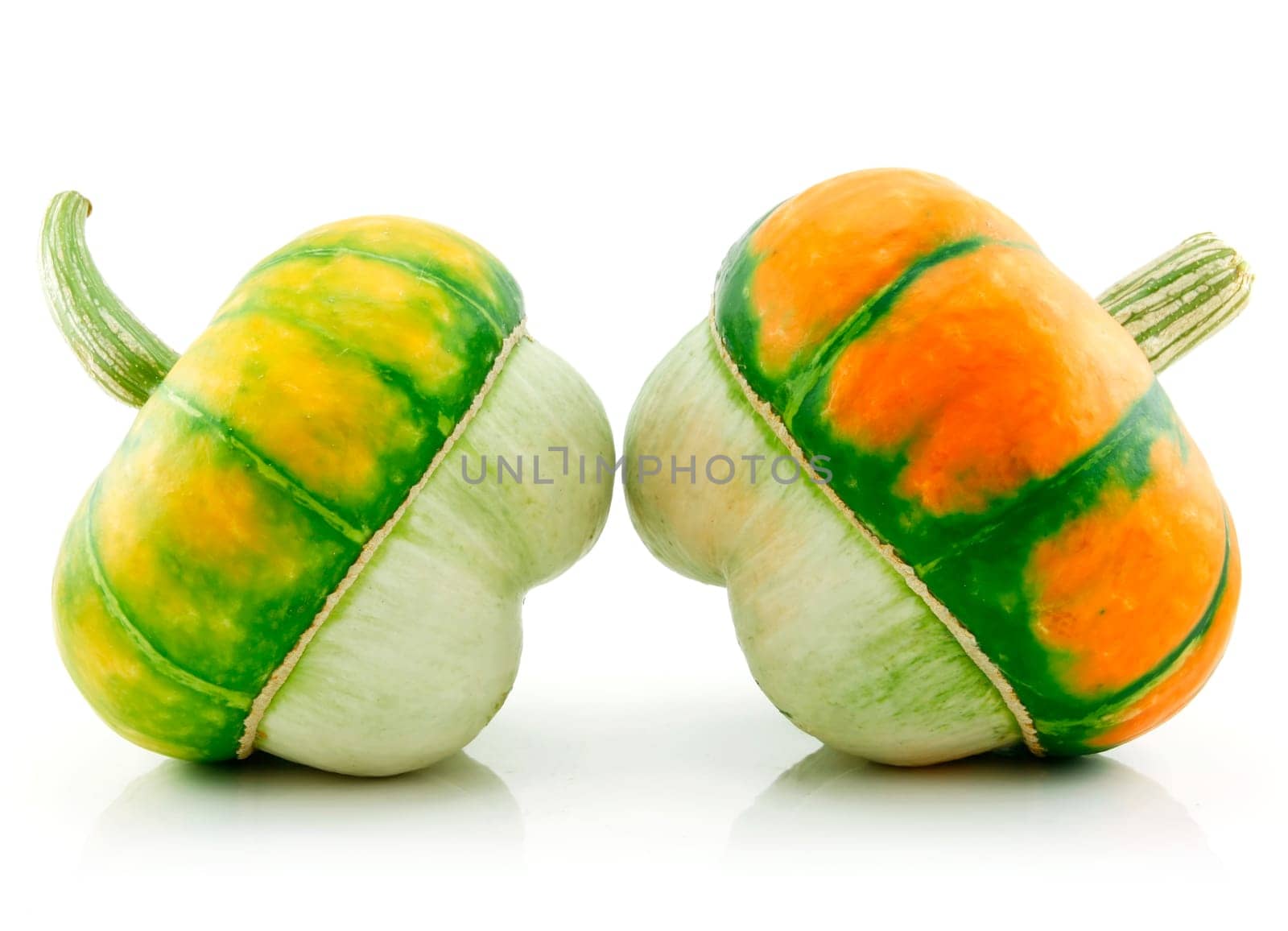 Ripe Gourds Vegetable Hybrid Isolated on White Background