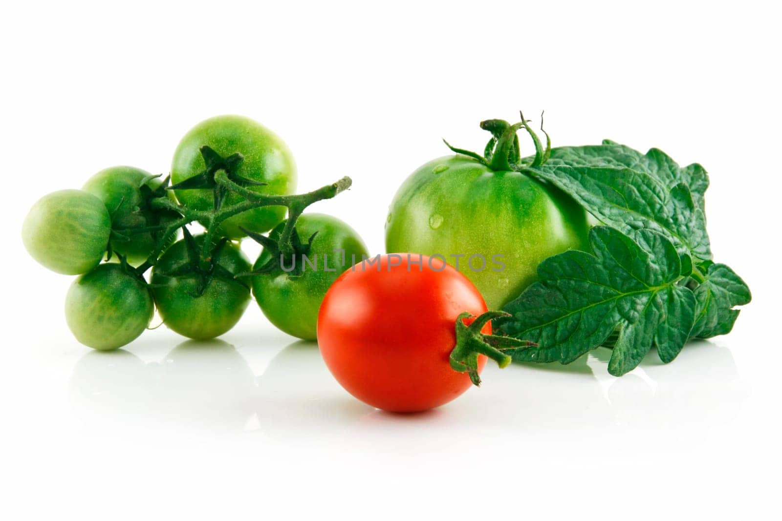 Ripe Wet Red and Green Tomatoes with Leaves Isolated on White Background