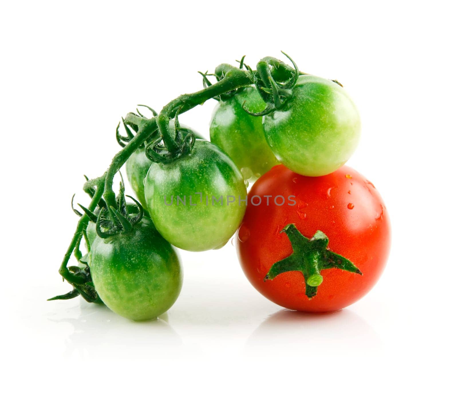 Ripe Wet Red and Green Tomatoes Isolated on White Background