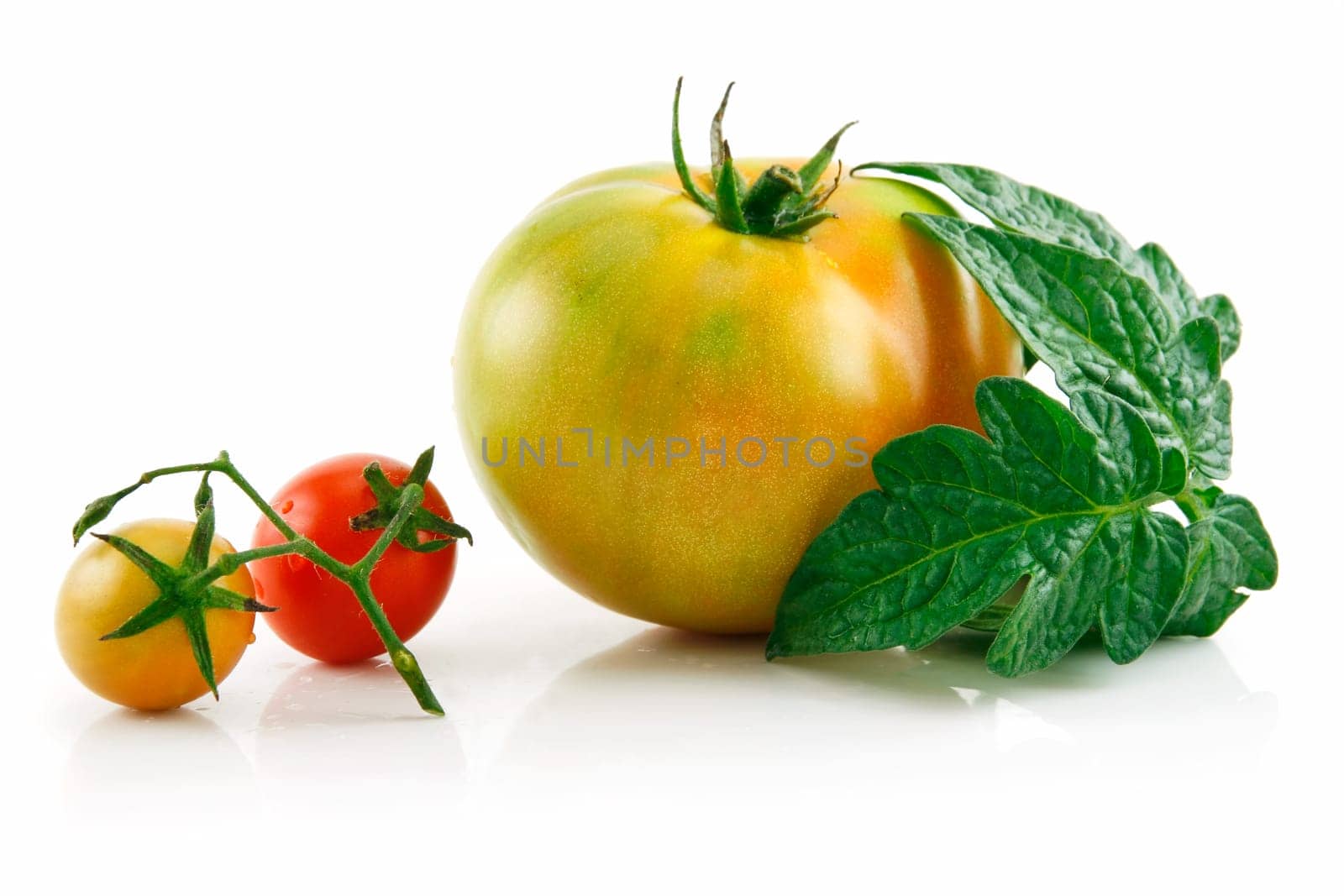 Ripe Wet Yellow and Red Tomatoes with Leaves Isolated on White Background