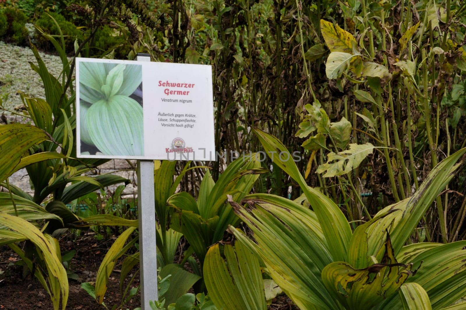 Herbal Park blooms and smells