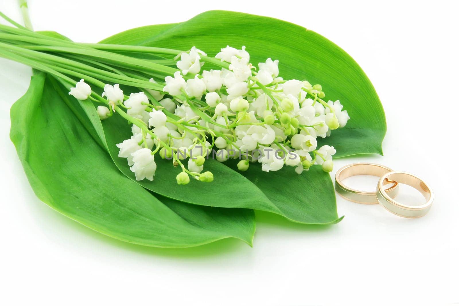Lily of the Valley and Golden Rings Isolated on White Background