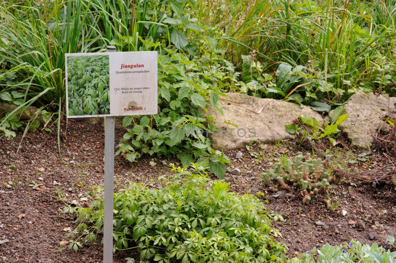 Herbal Park blooms and smells
