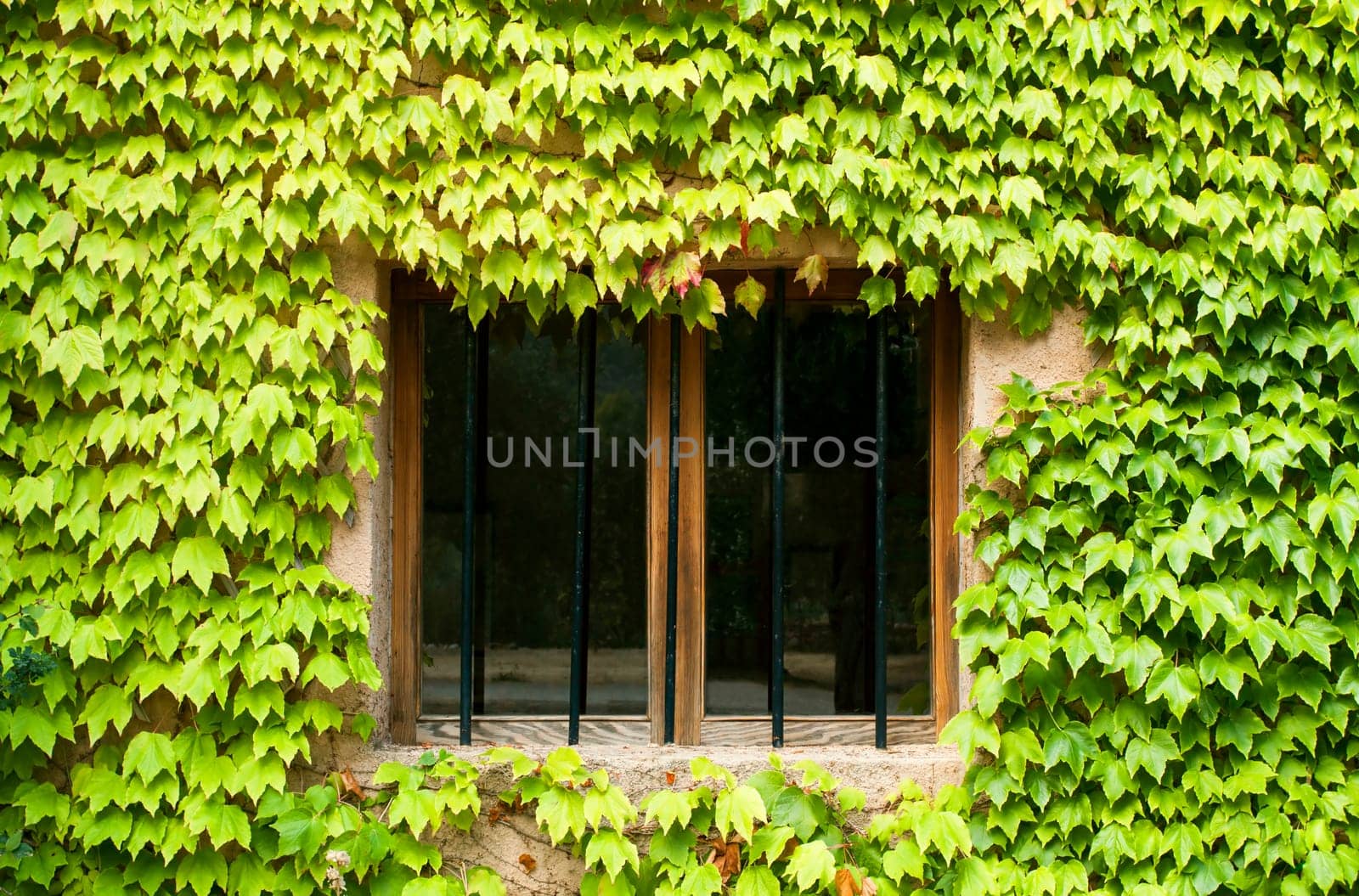 Catalan window, decorated
