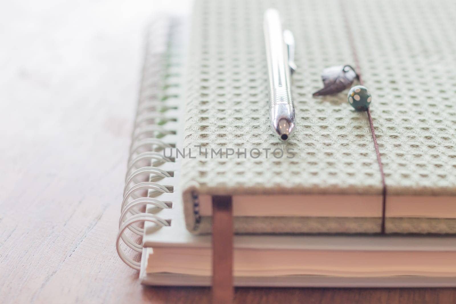 Pen on two notebooks, stock photo