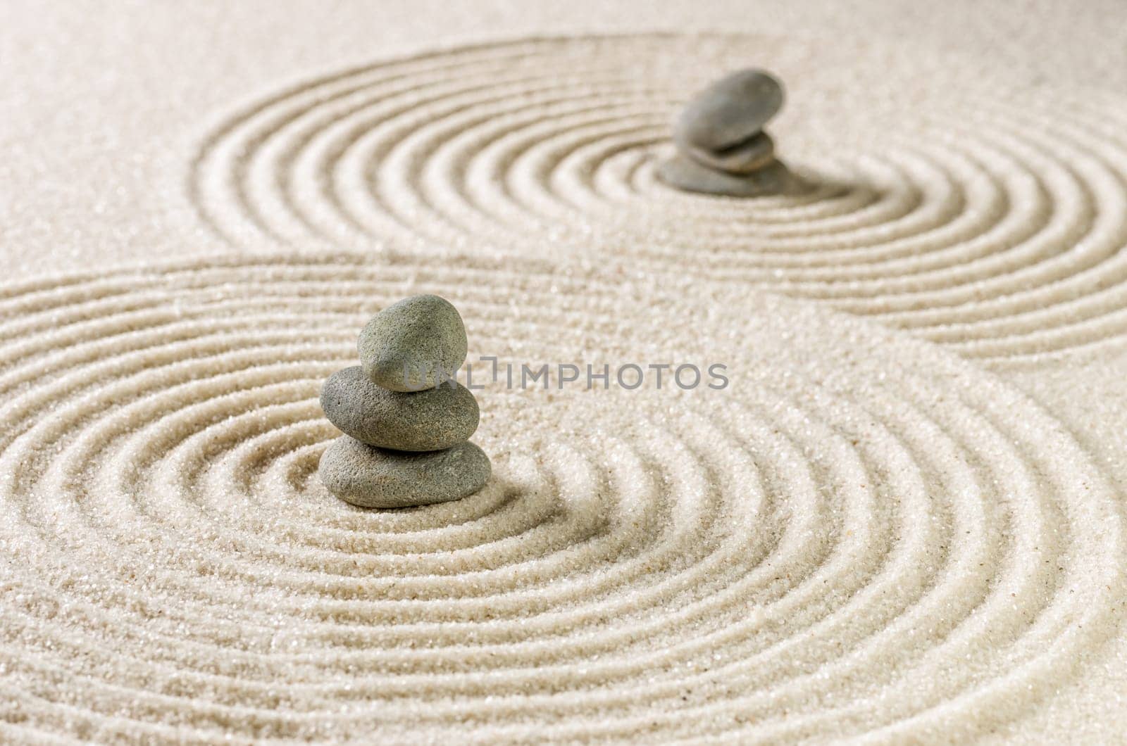 Japanese Zen Garden