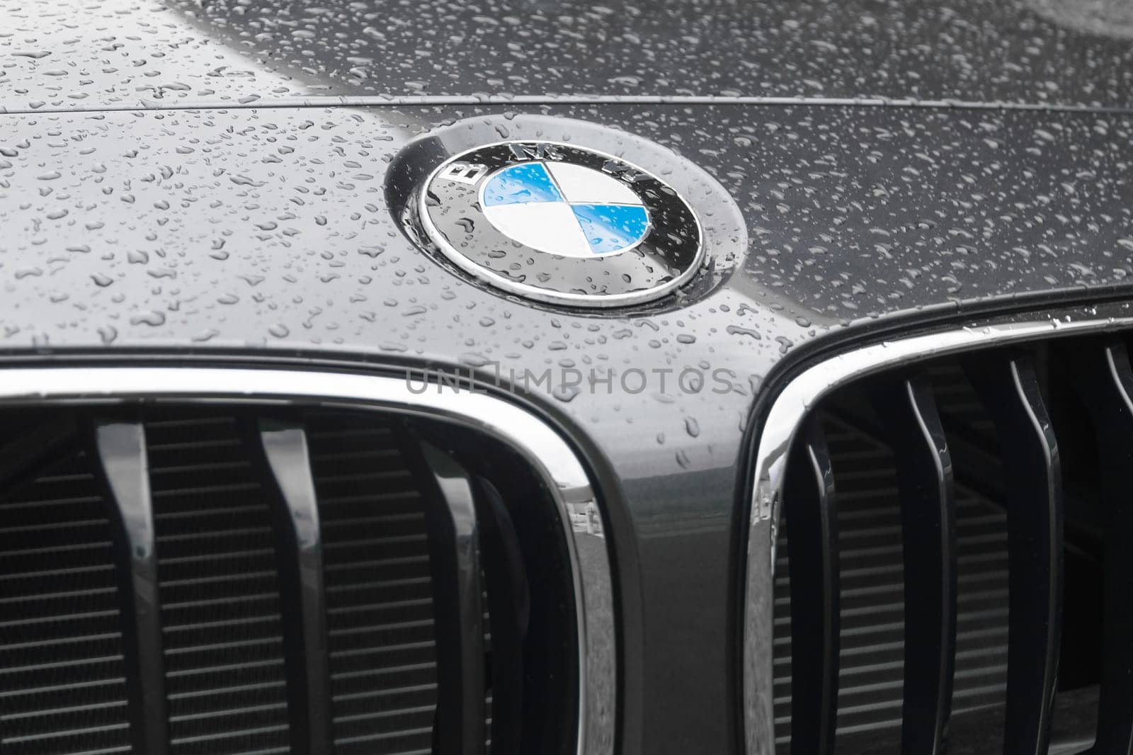 BMW logo on wet surface of hood of new model elite deluxe car. BMW is part of the "German Big 3"" luxury automakers, which are the three best-selling luxury automakers in the world."