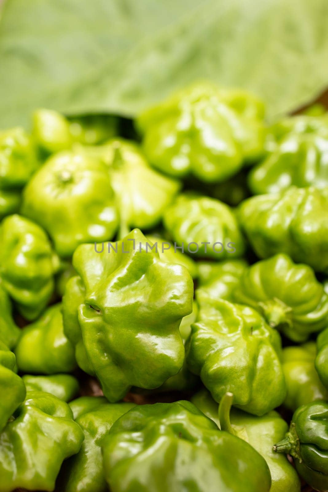 Close-up green chili peppers in portrait format