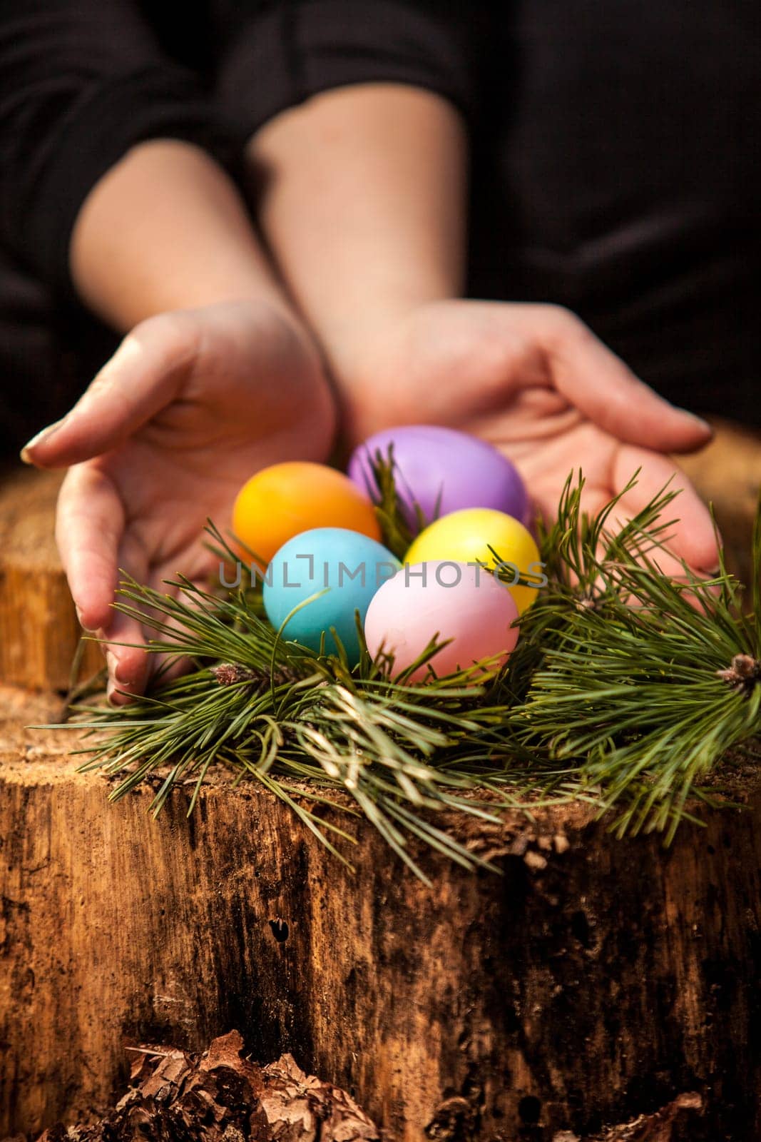 Closeup shot of woman protecting easter eggs in nest at forest