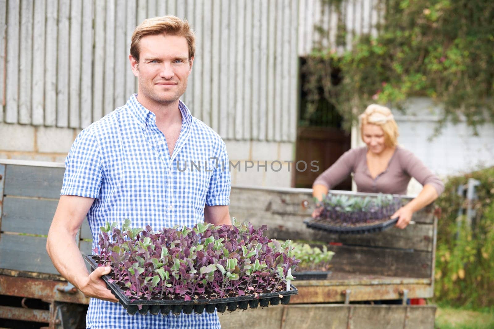 Couple Planting Seedlings On Organic Farm