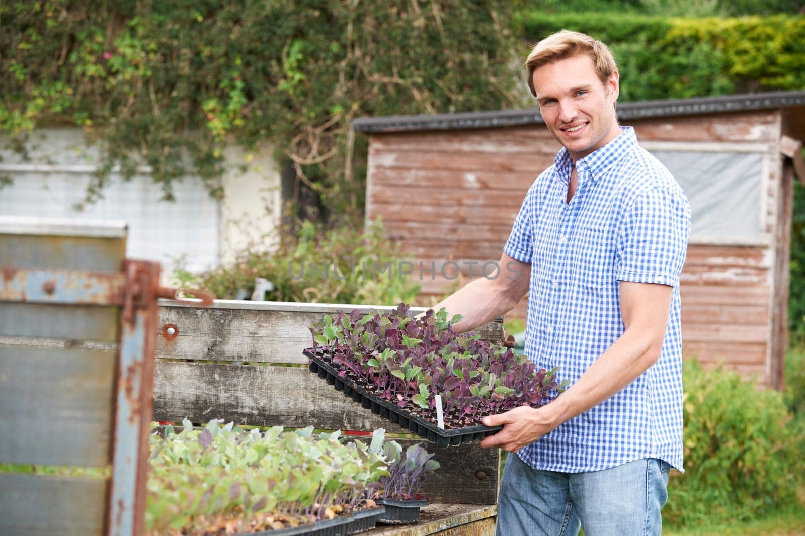 Farmer Planting Seedlings On Organic Farm