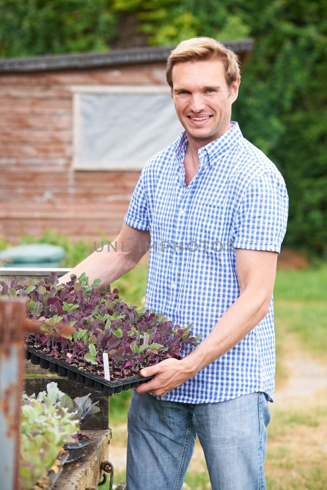 Farmer Planting Seedlings On Organic Farm