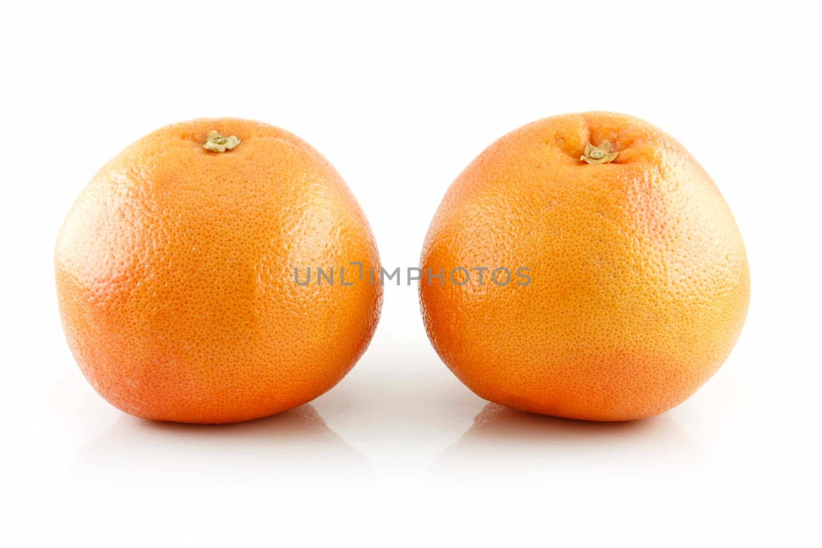 Two Ripe Wet Grapefruits with Leaves Isolated on White Background