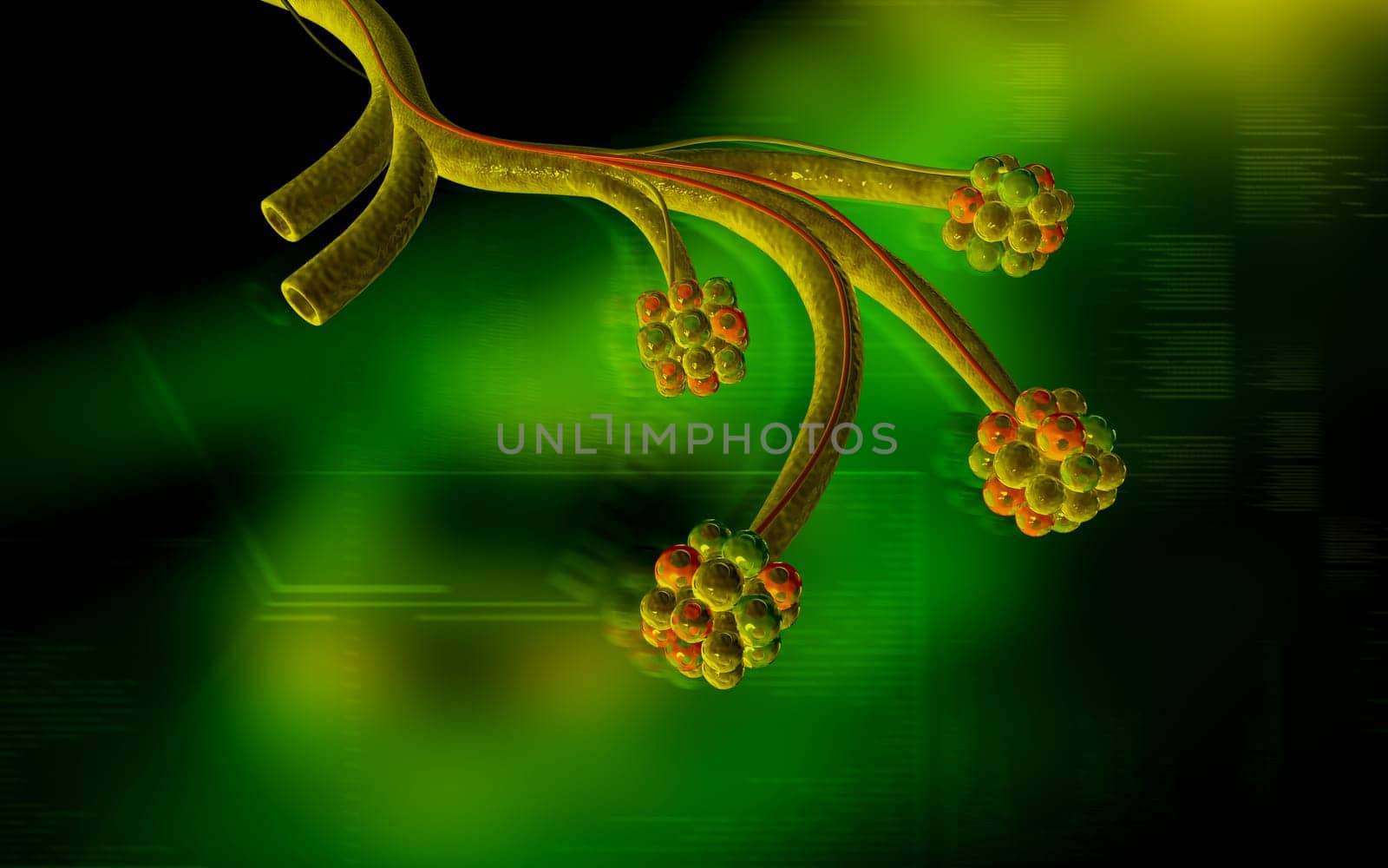Digital illustration of alveoli in colour background