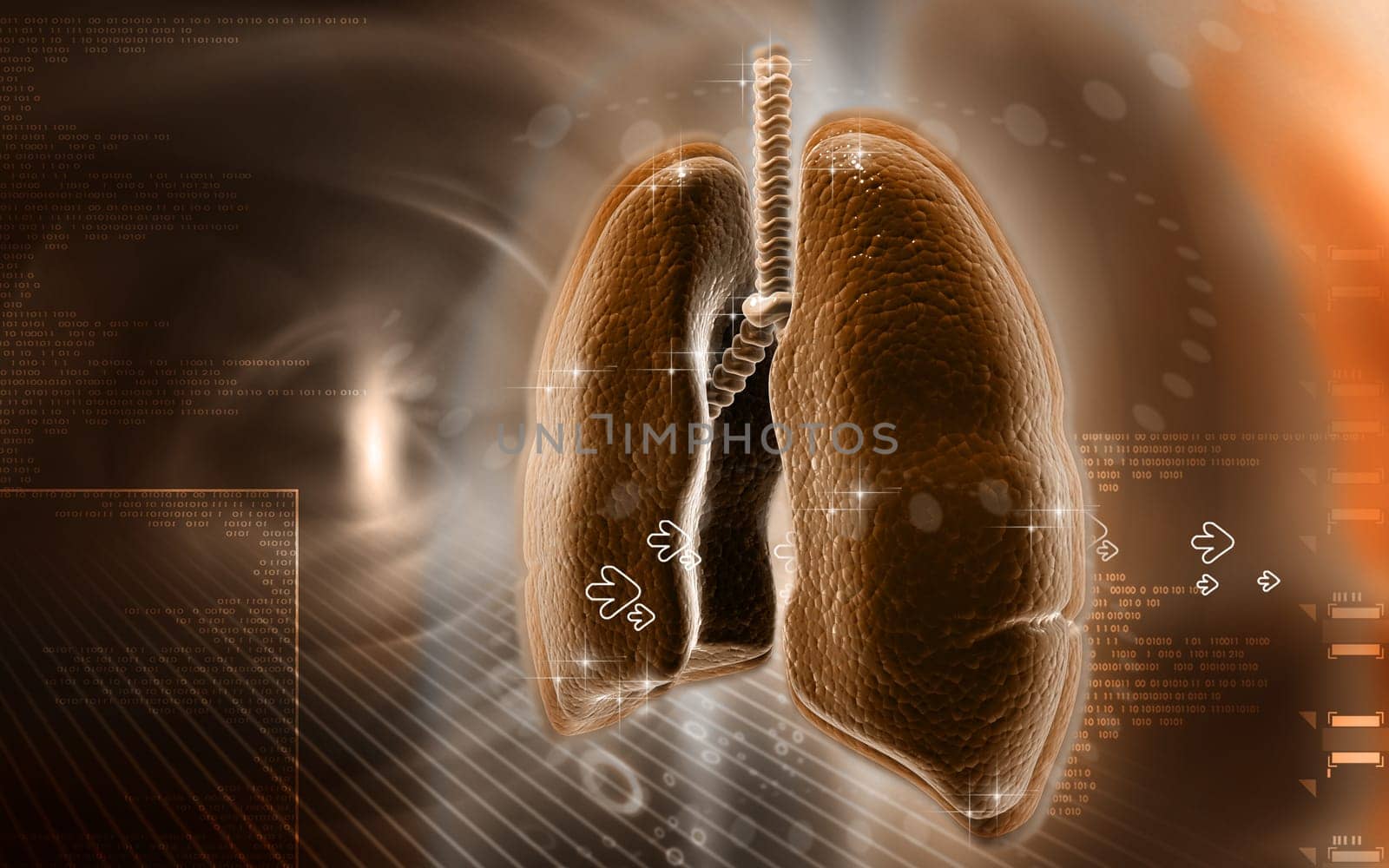 Digital illustration of human lungs in colour background