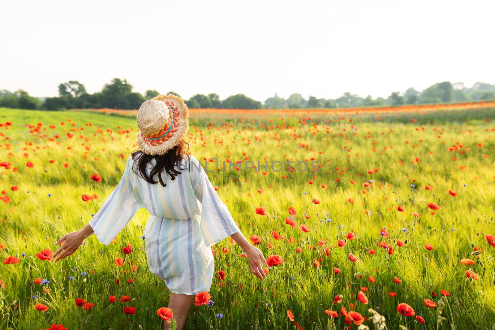 Sunrise in a beautiful wheat and poppy field. A happy girl in a straw hat and a white striped dress stands in the middle of a field, the sun shines in her face, joy, happiness