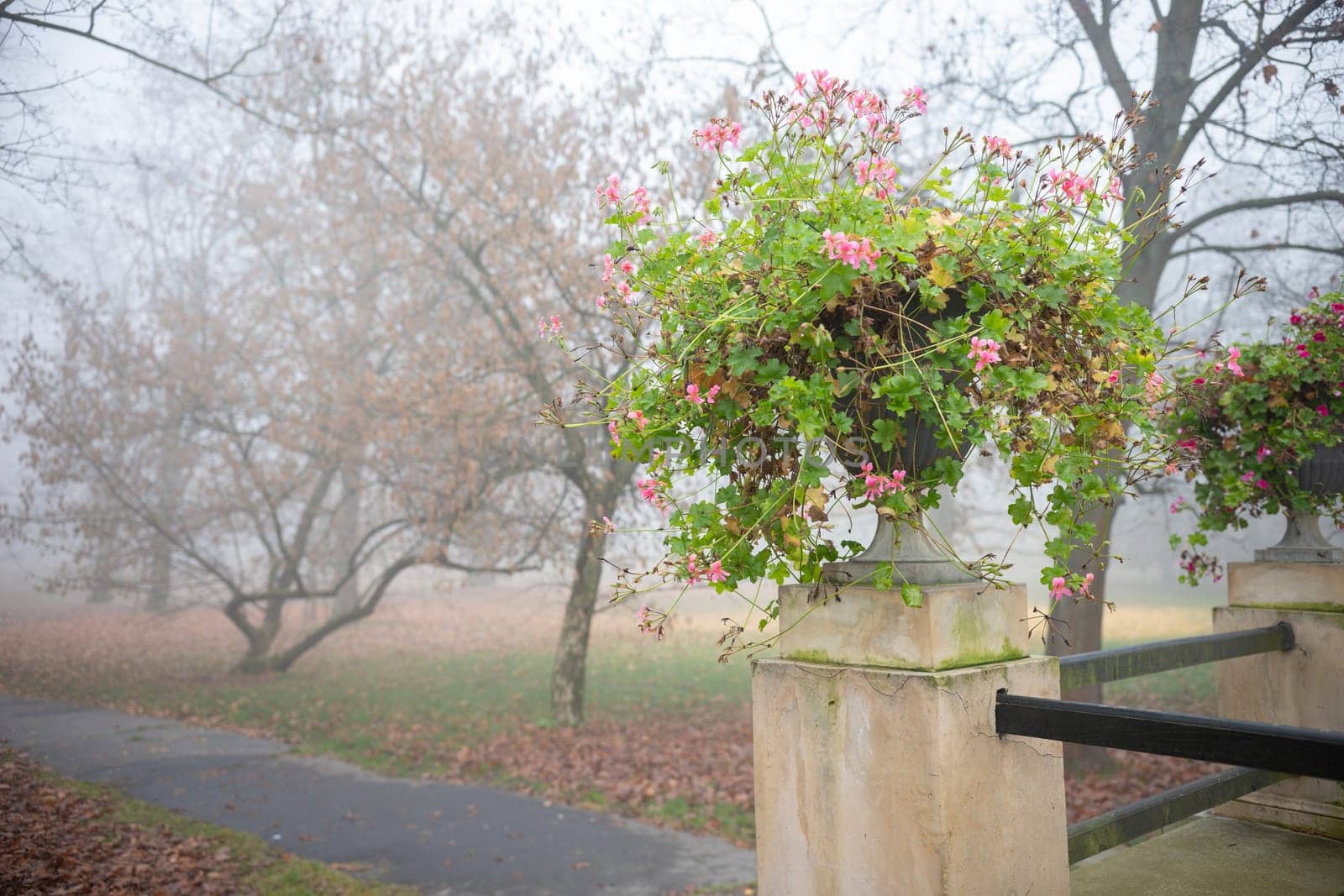 A vibrant flower pot adding life to the subtle tones of the surrounding park.