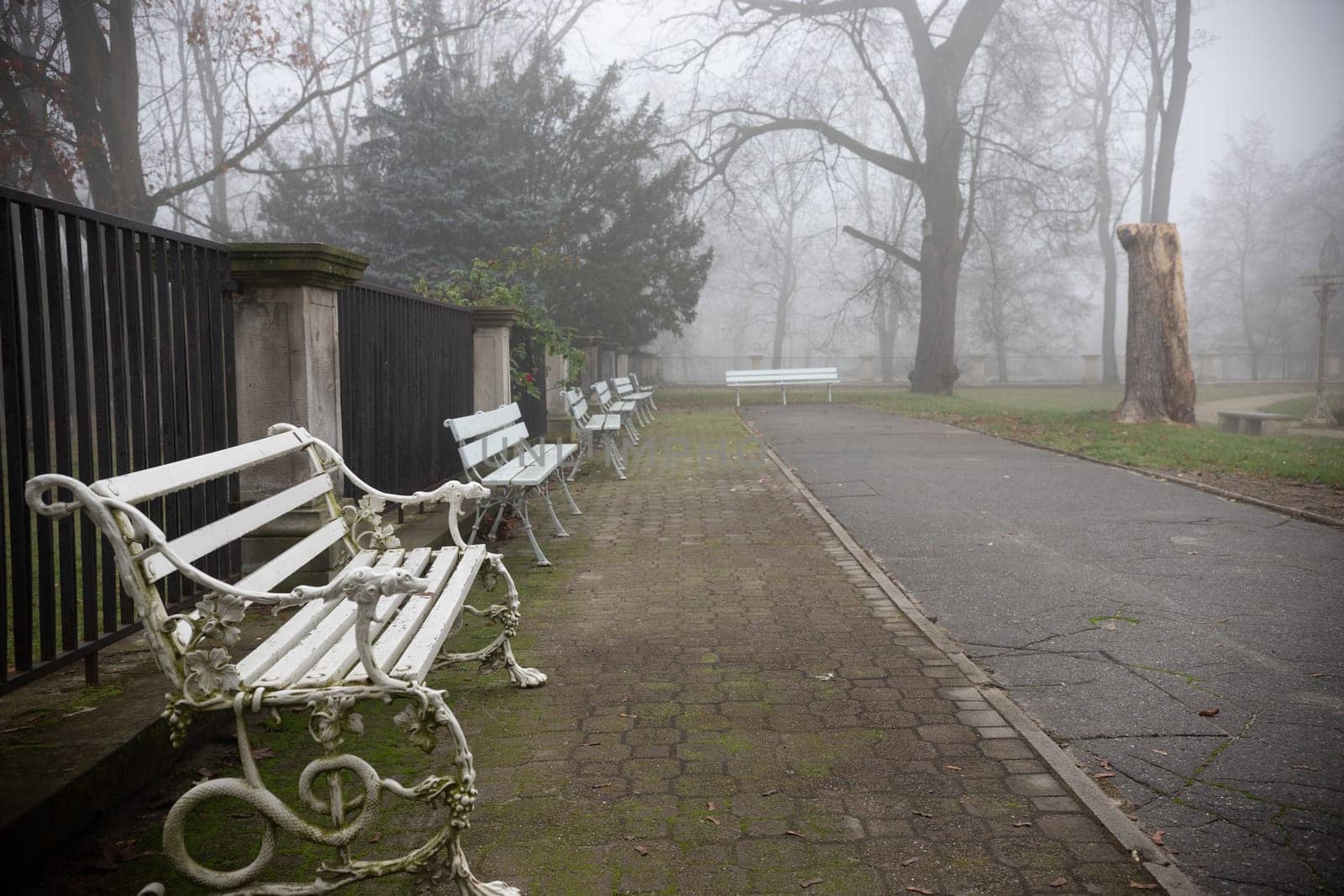 A bench in a calm park setting - misty autumn background by Studia72