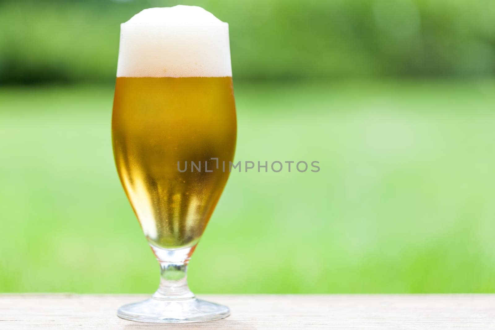 Beer tulip with a white foam crown against a green background outdoors