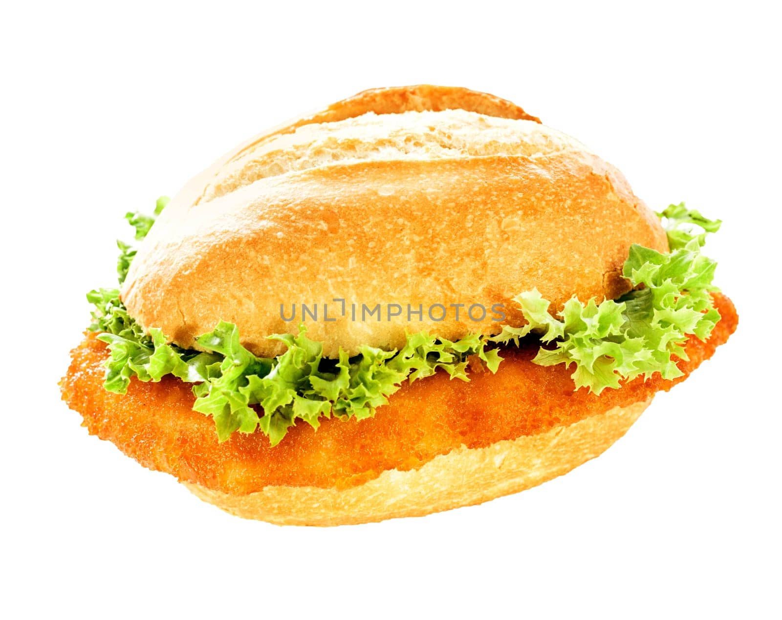 Delicious fish burger with fresh frilly lettuce and a crumbed fish fillet on a crusty bun isolated on white