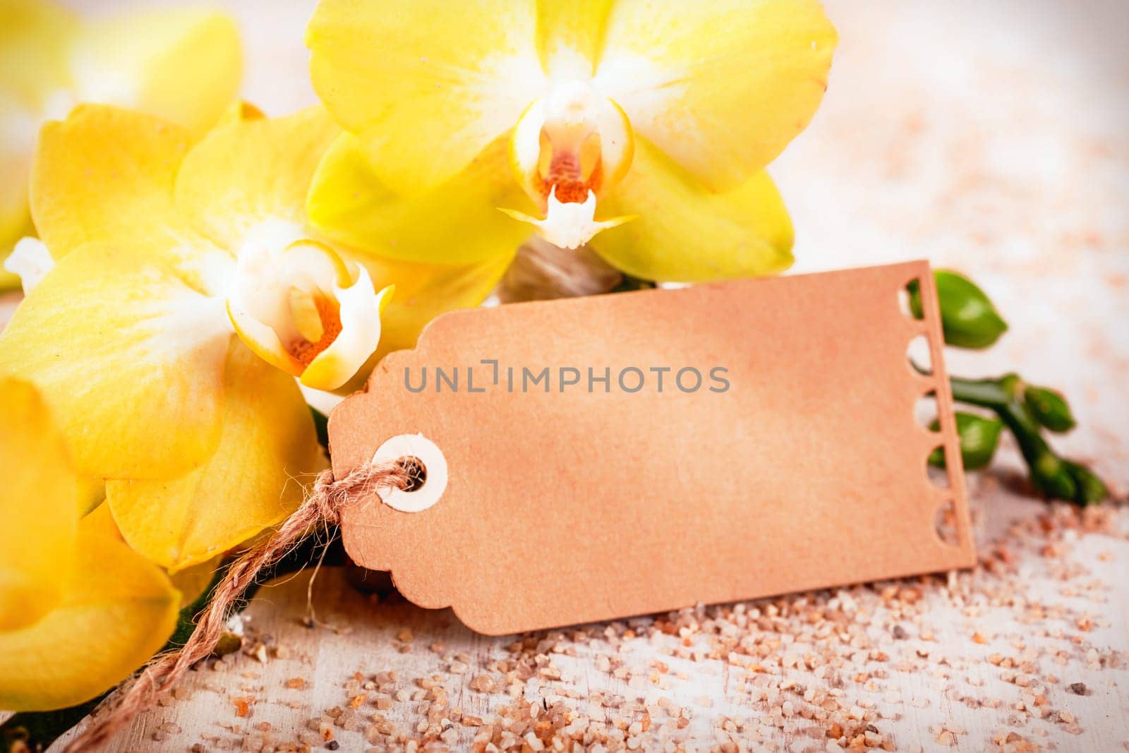 beautiful fresh bright yellow phalaenopsis orchids with a blank decorative brwon card or gift tag with copyspace for your message of love on Valentines Day or an anniversary