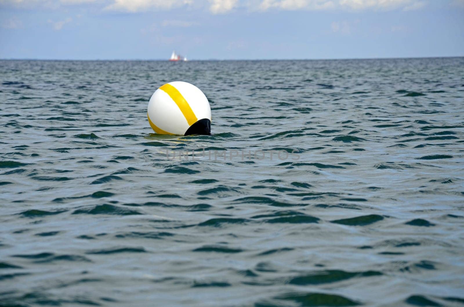 Buoy