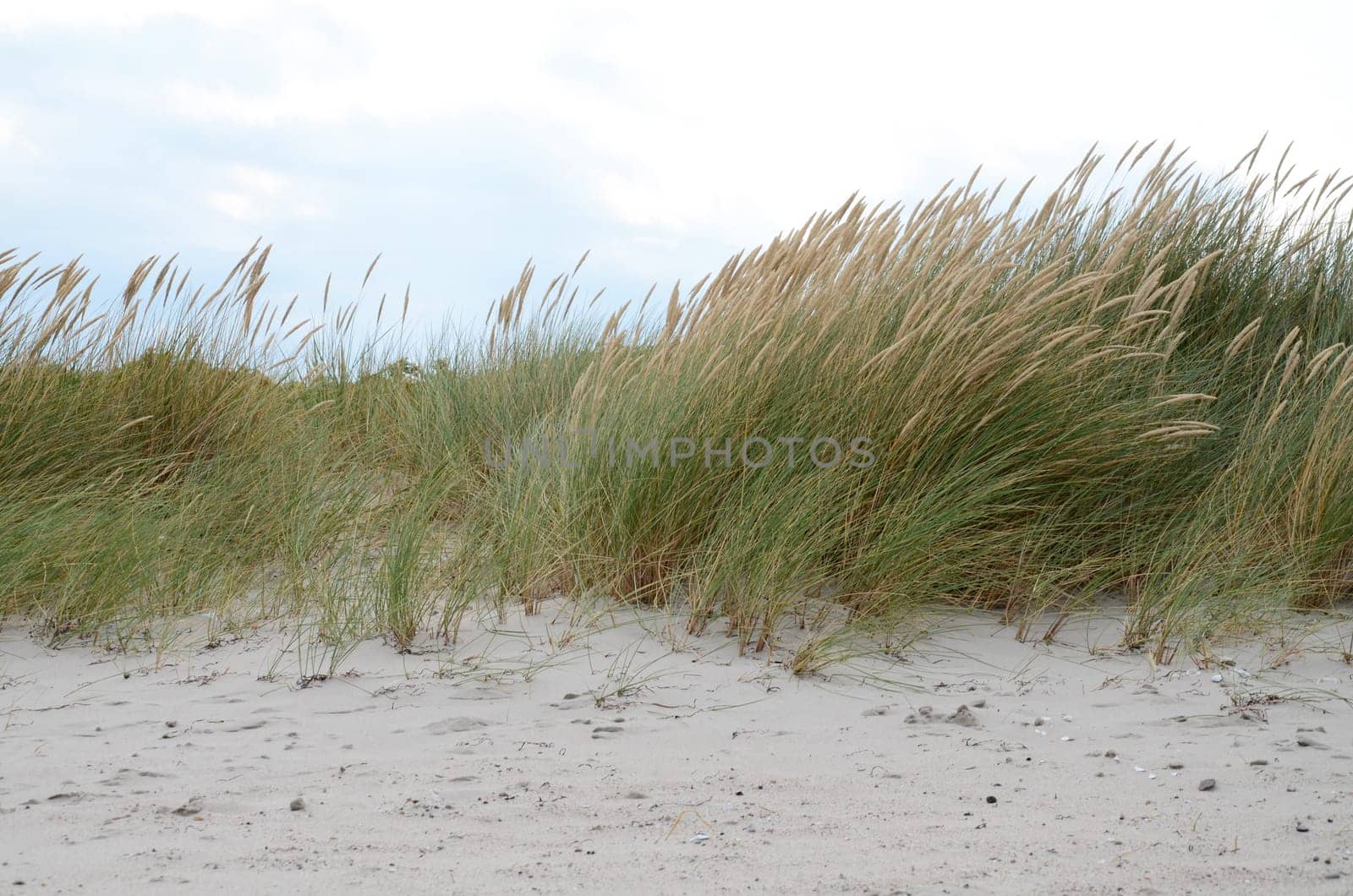 Dunes