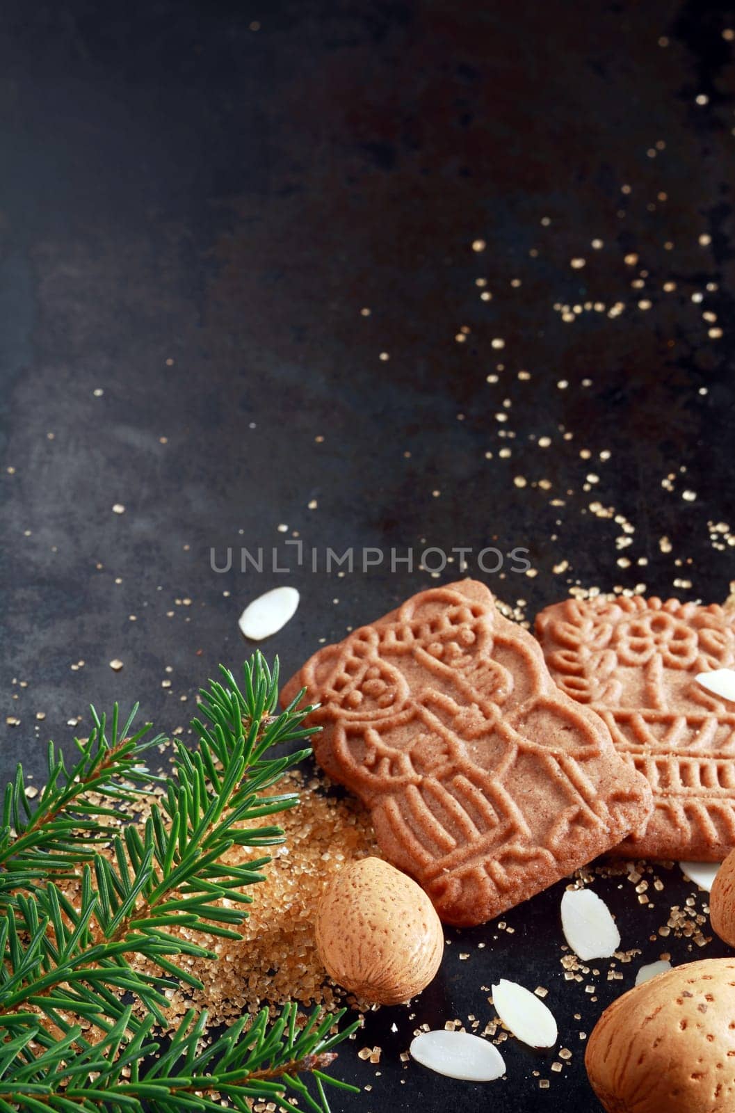 Traditional crunchy spicy speculoos Dutch Christmas buscuits originally baked for the feast of St Nicholas with flaked and whole almonds and a pine branch, on a dark backgorund with copyspace