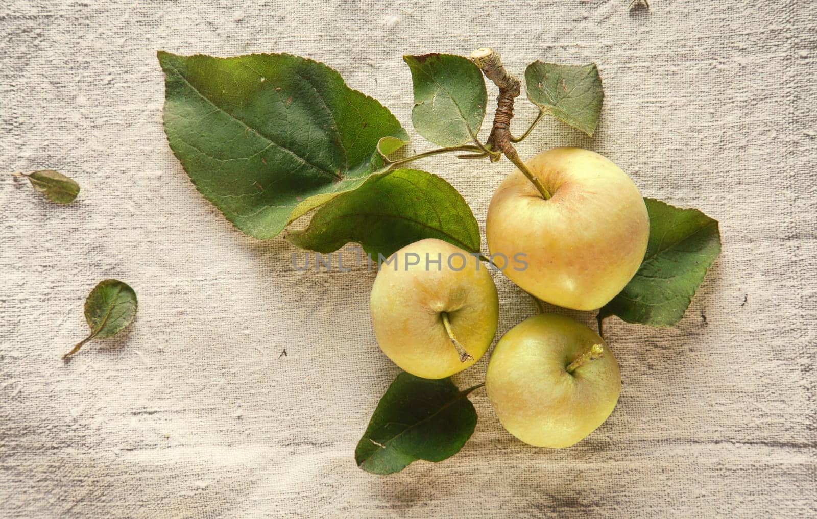 Three Sweet Fresh Green Apples on Table Cloth. Natural Good Skin Vitamin.