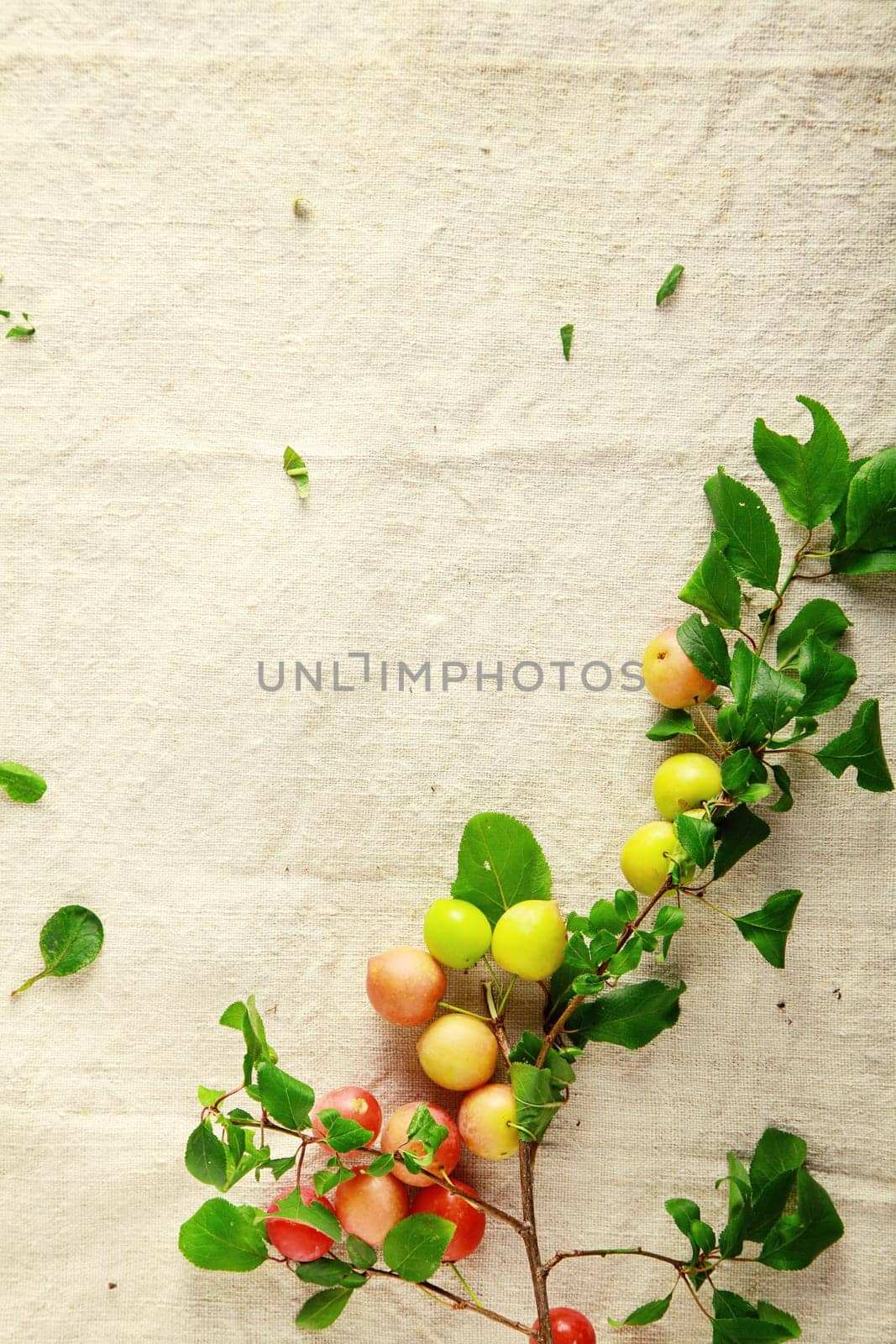 Sweet Red and Yellow Fresh Fruits on White Cloth. Good for Health Wellness Promotions
