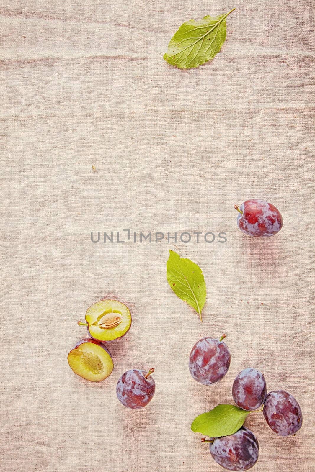 Fresh Ripe Forest Berries Isolated on Off White .