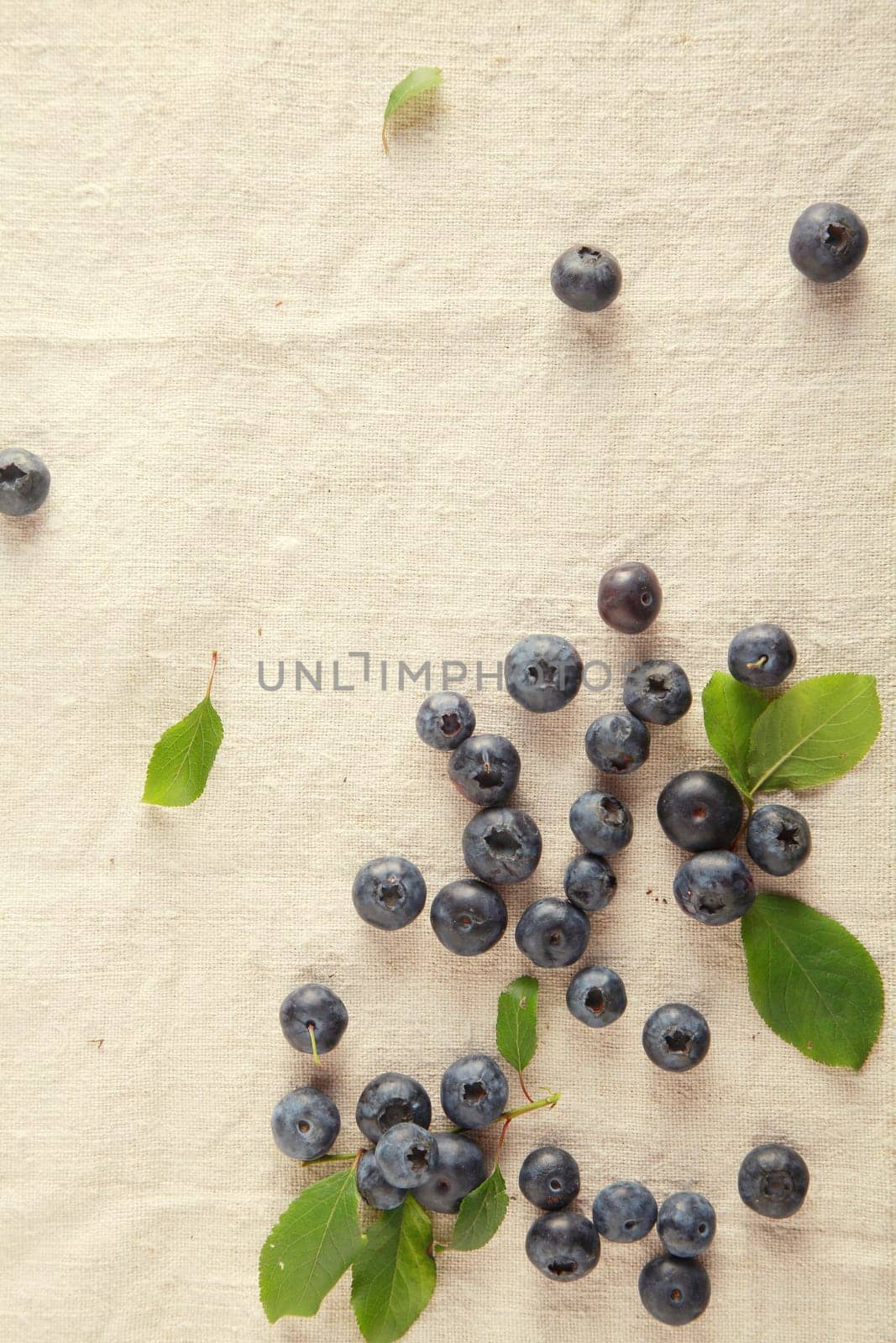 Scattered Fresh Blue Berries on Table. Vitamin-Rich Fruit.