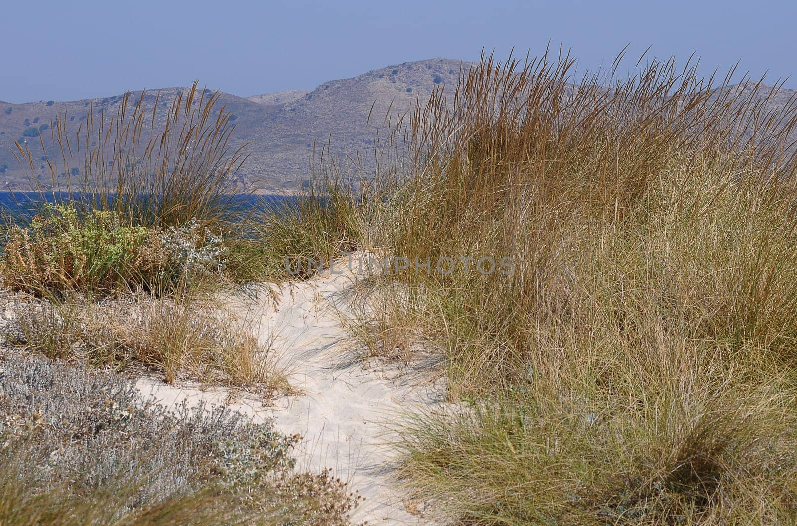 Strandweg