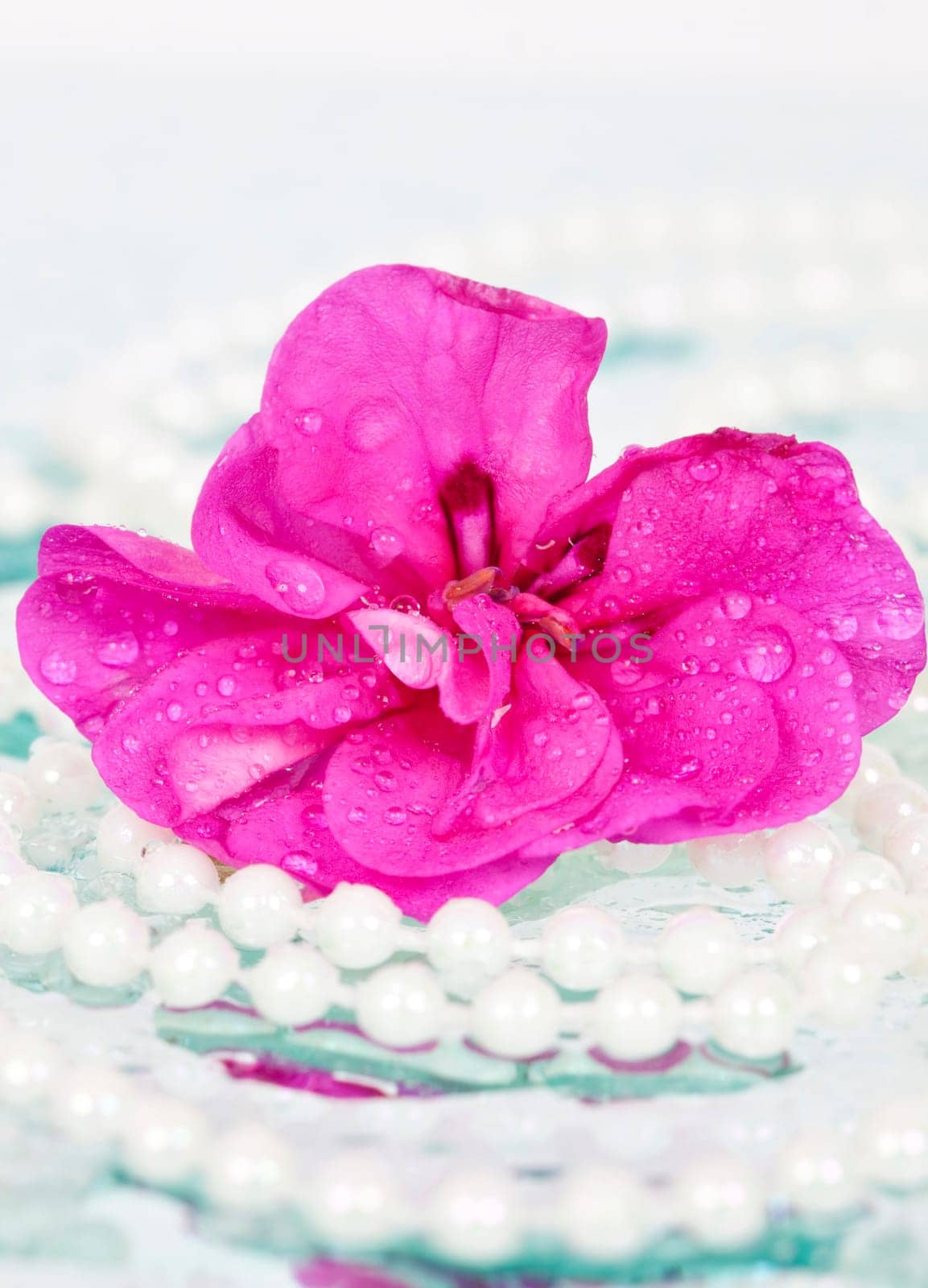 Pink flower and pearl necklace